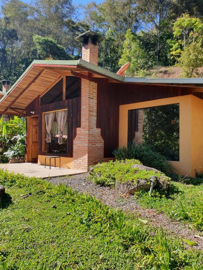 El Toucanet Lodge Copey Kültér fotó