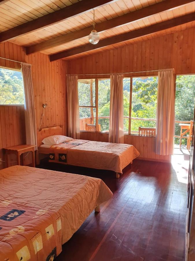 El Toucanet Lodge Copey Kültér fotó