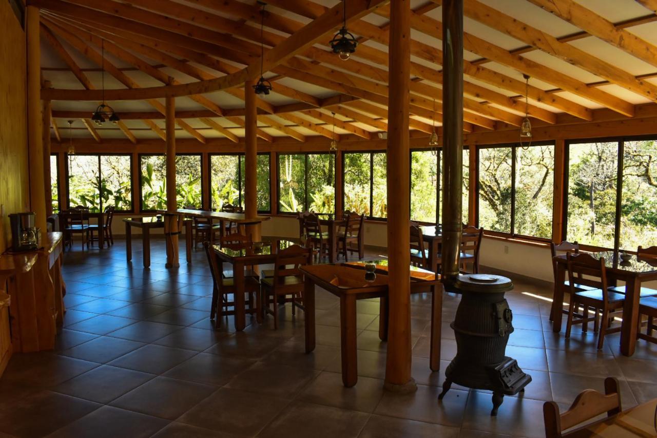 El Toucanet Lodge Copey Kültér fotó