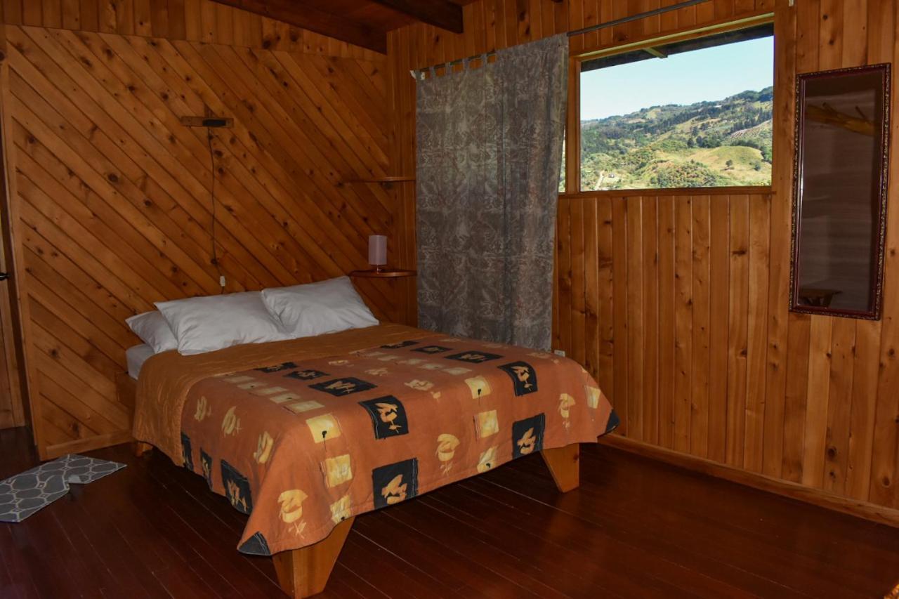 El Toucanet Lodge Copey Kültér fotó