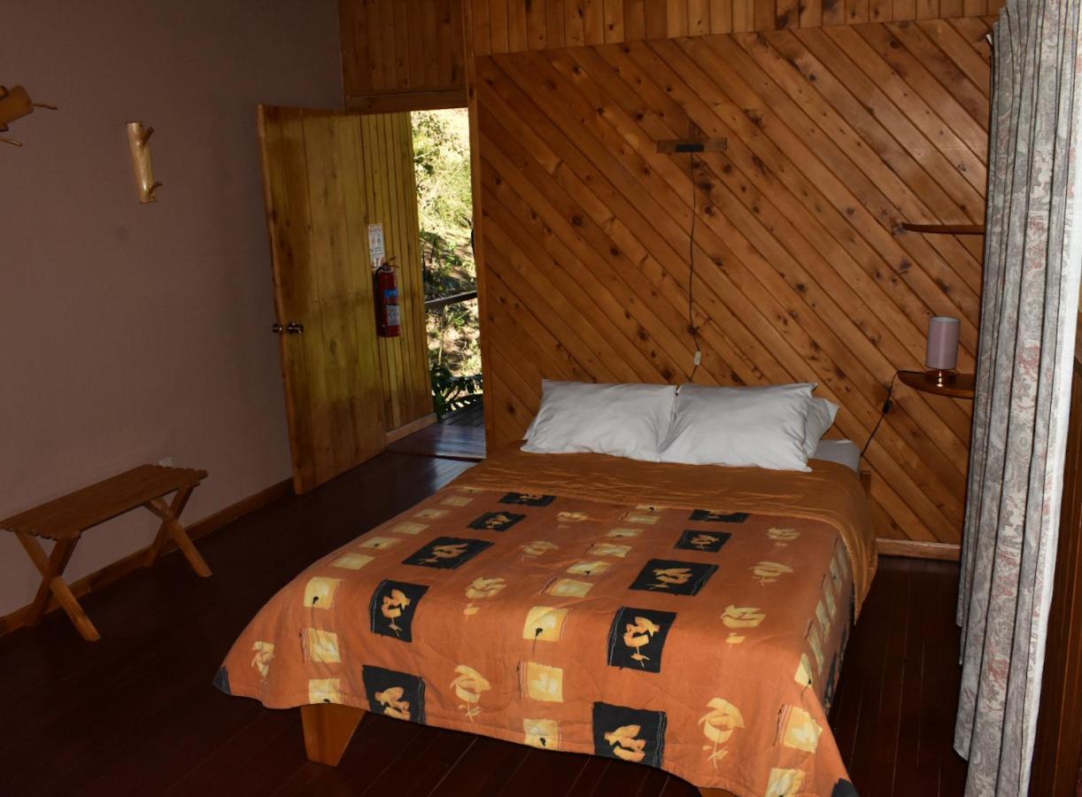 El Toucanet Lodge Copey Kültér fotó