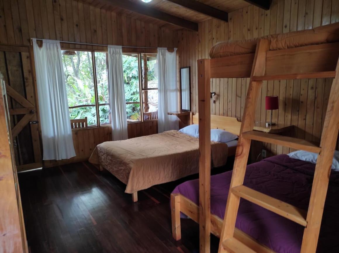 El Toucanet Lodge Copey Kültér fotó