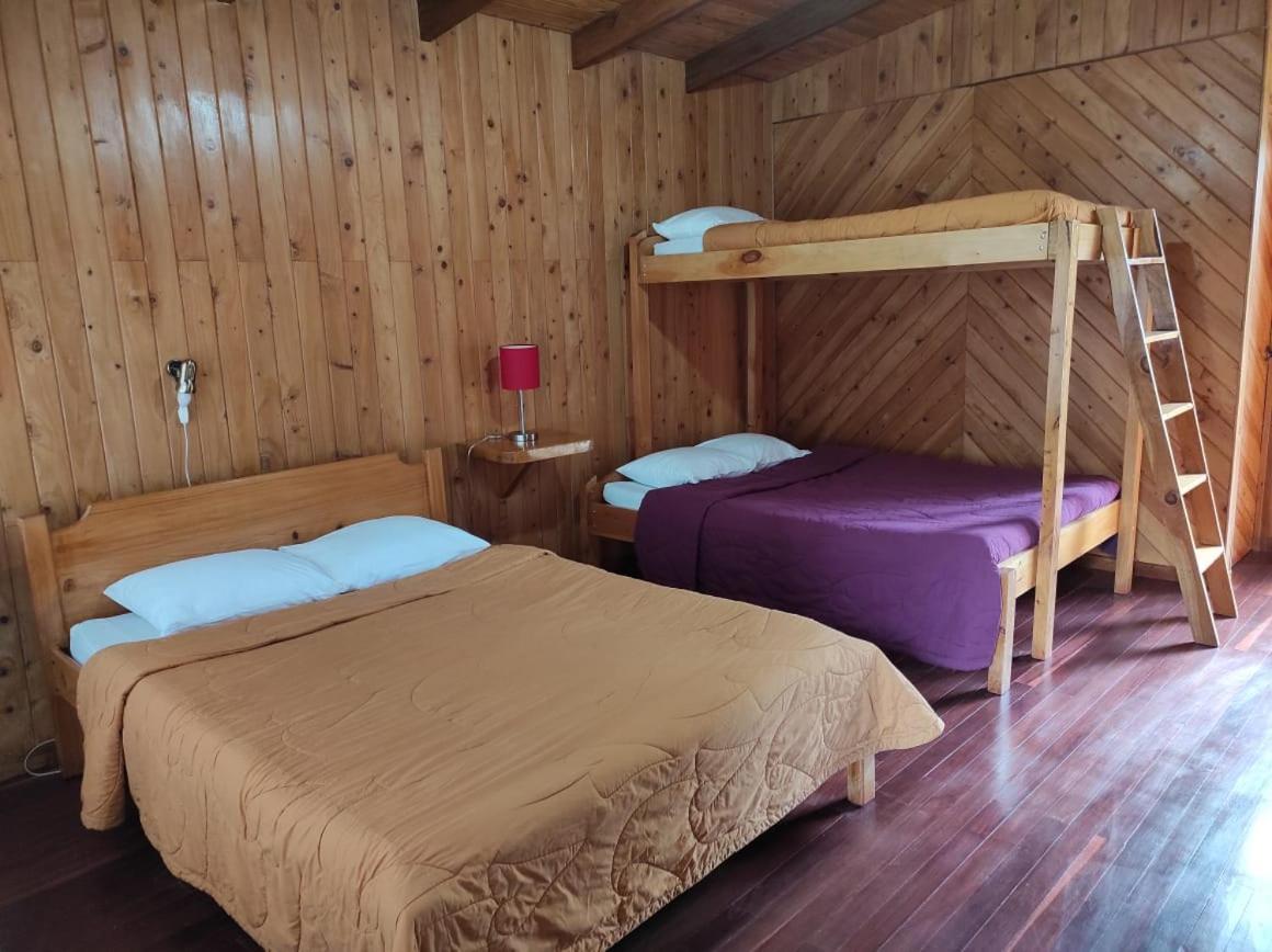 El Toucanet Lodge Copey Kültér fotó