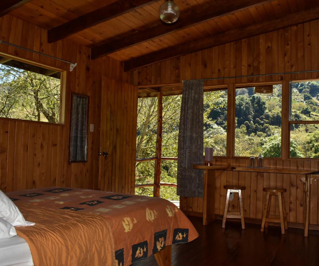 El Toucanet Lodge Copey Kültér fotó