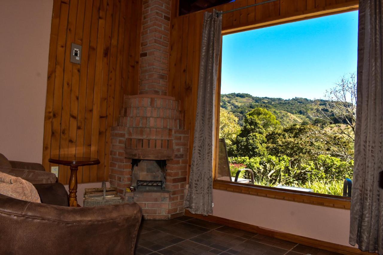 El Toucanet Lodge Copey Kültér fotó