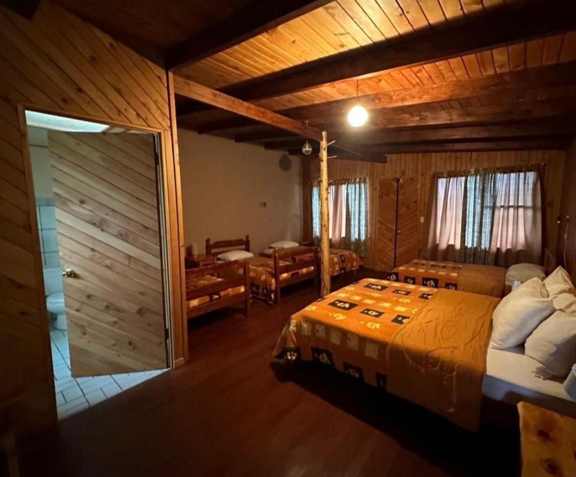 El Toucanet Lodge Copey Kültér fotó