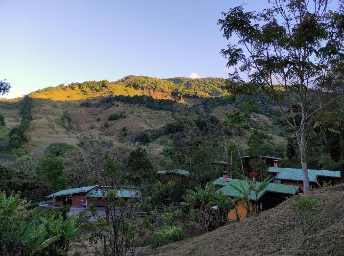 El Toucanet Lodge Copey Kültér fotó