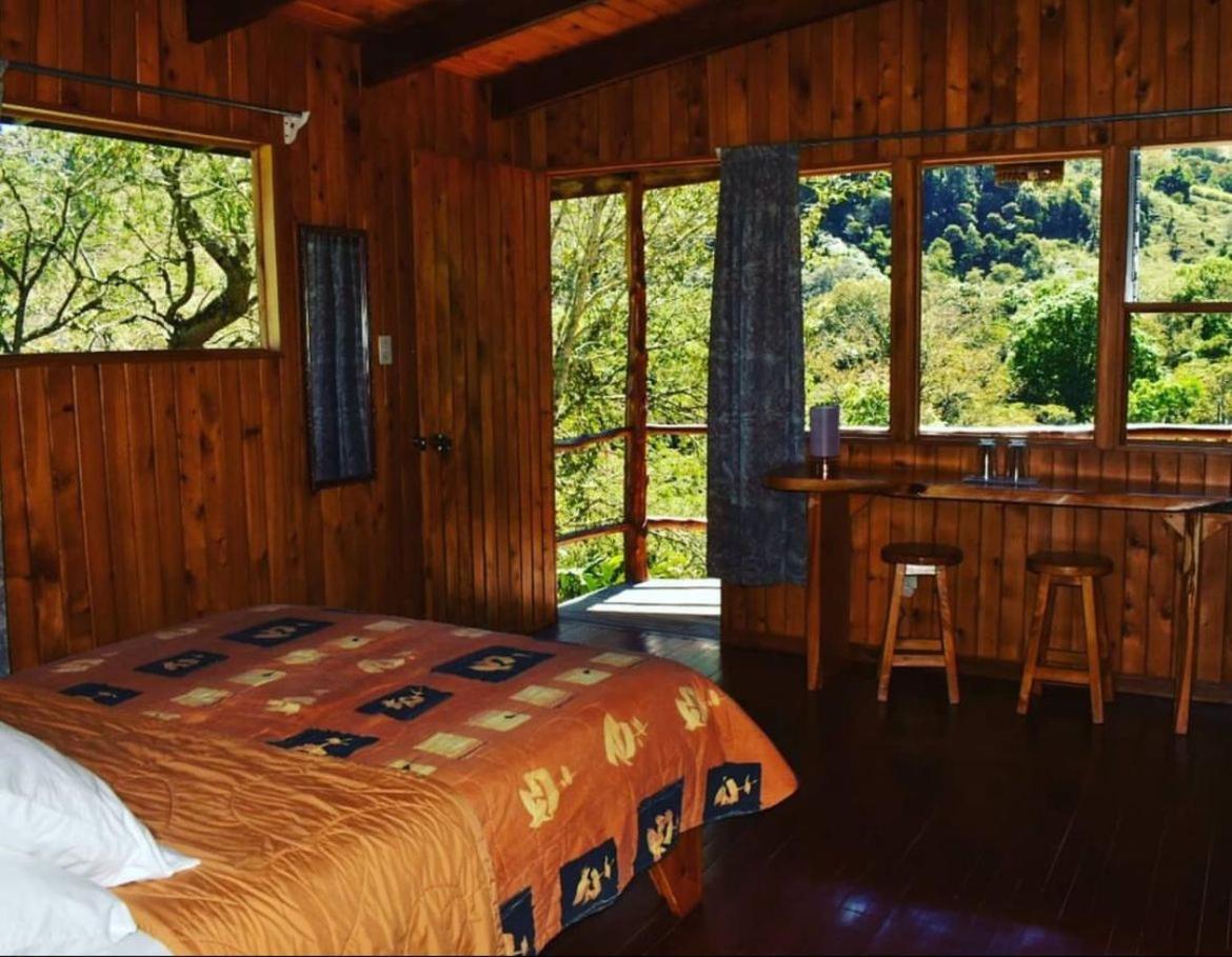 El Toucanet Lodge Copey Kültér fotó